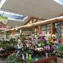 Construction d'un magasin Gamm Vert